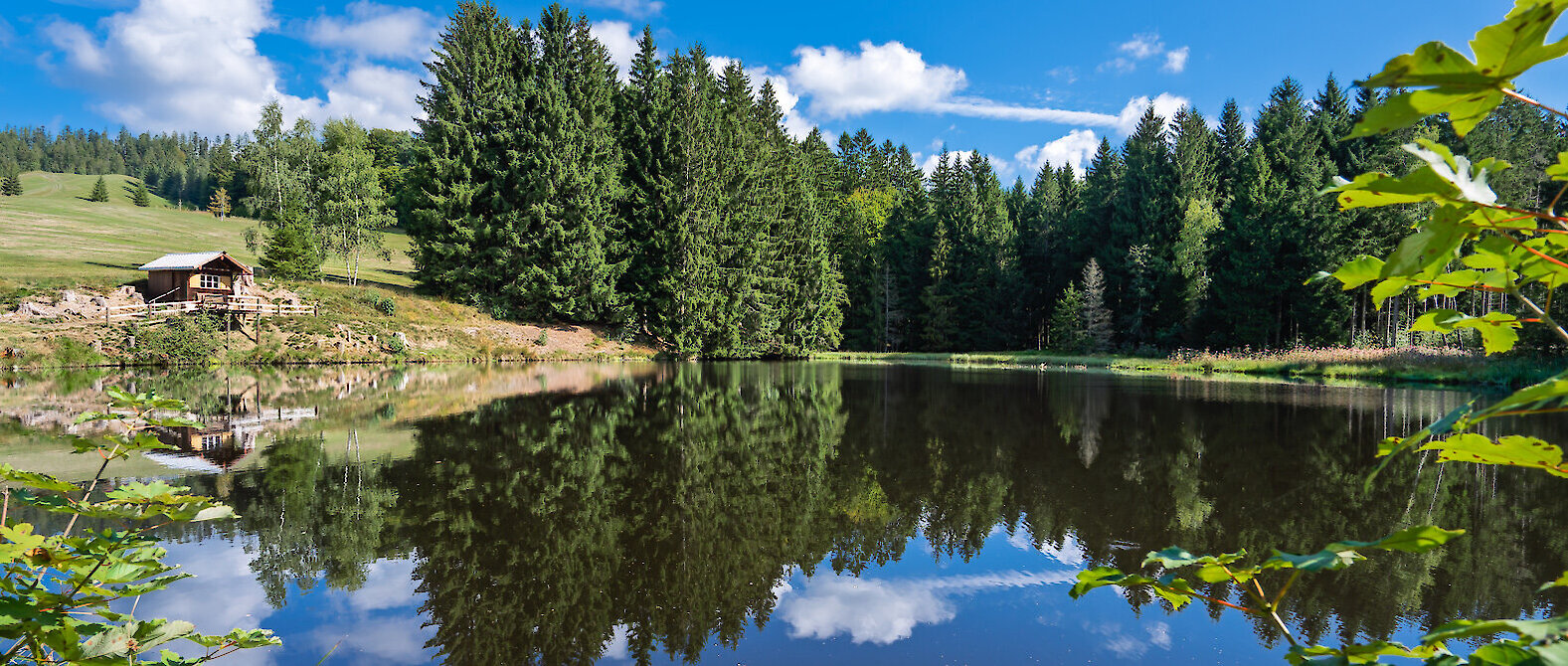 Forellen-Reiterhof Schanzer im Bayerischen Wald